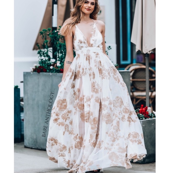 Dresses & Skirts - 💜NWT Stunning Tulle/Beige Velvet Maxi